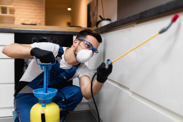 Best Affordable Pest Control Services  in Holland, MI