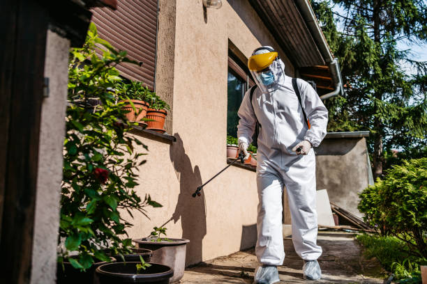 Best Cockroach Control Services  in Holland, MI