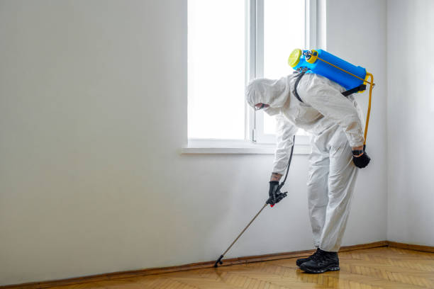 Best Affordable Pest Control Services  in Holland, MI