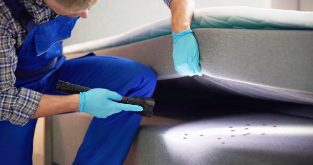 Best Cockroach Control Services  in Holland, MI