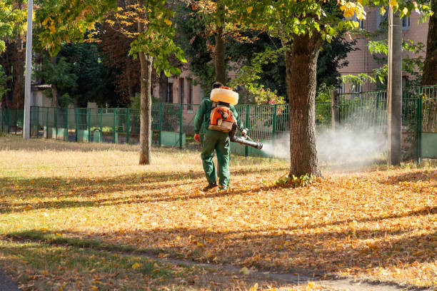 Best Pest Control Near Me  in Holland, MI