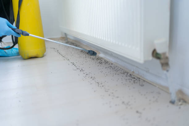 Best Pest Prevention Services  in Holland, MI