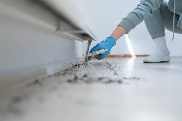 Best Rodent Control Near Me  in Holland, MI