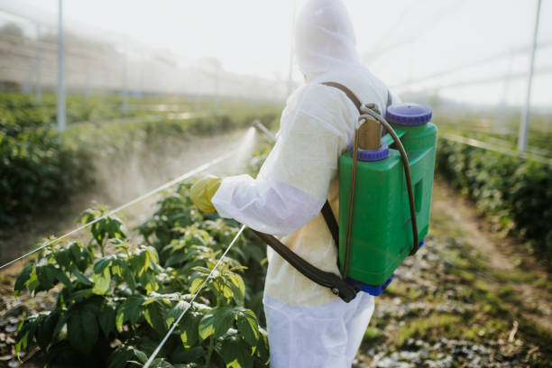 Professional Pest Control in Holland, MI